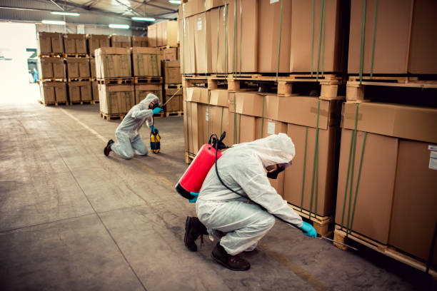 Best Pest Prevention Services  in Orange Blossom, CA
