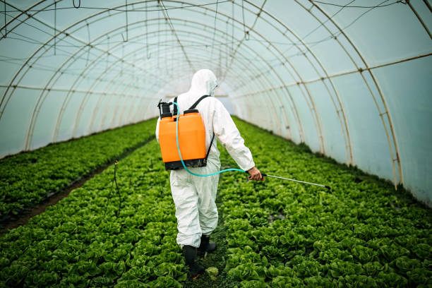 Best Best Pest Control Companies  in Orange Blossom, CA