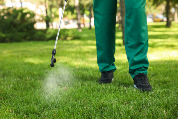 Pest Prevention Services in Orange Blossom, CA