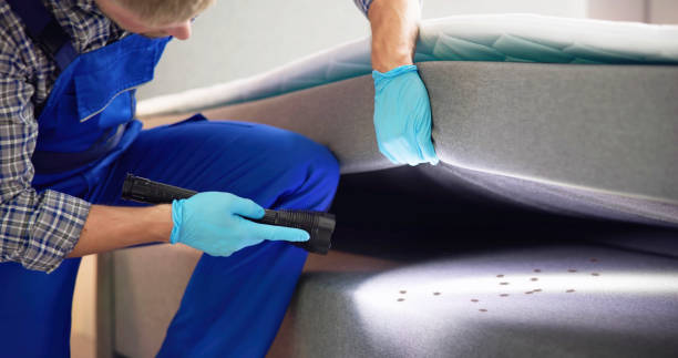 Best Pest Removal Services  in Orange Blossom, CA